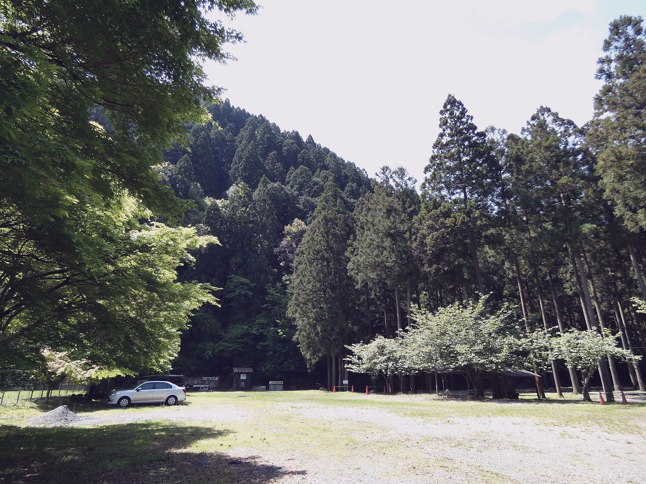 設営場所候補となるキャンプ場の風景