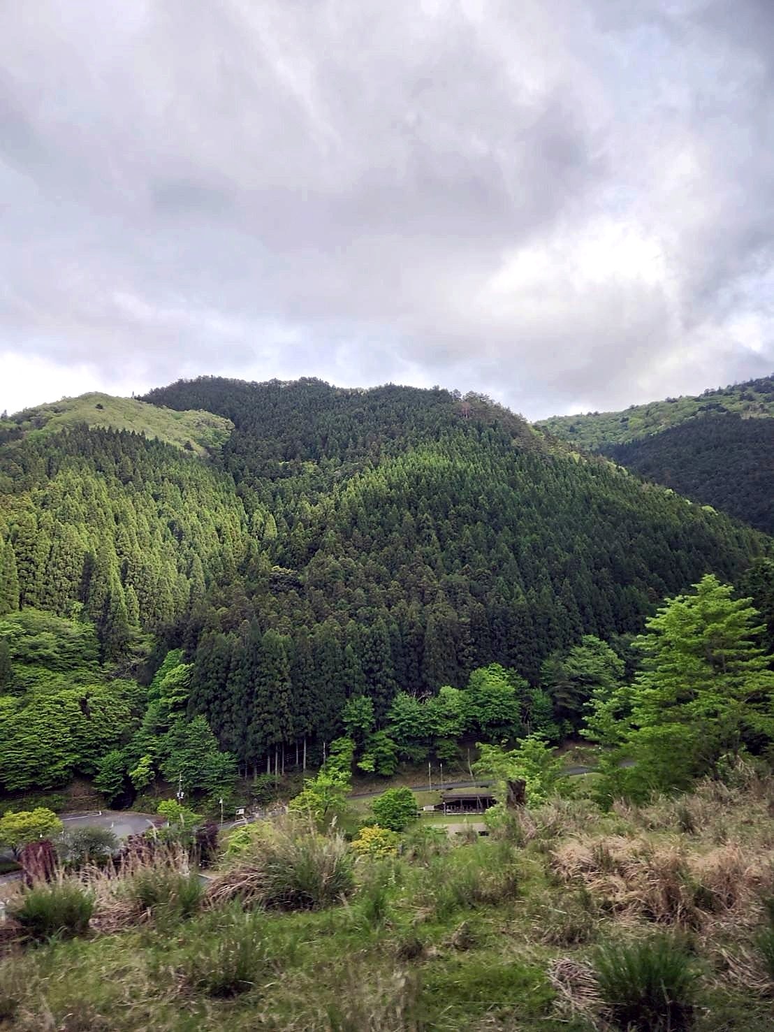設置場所候補になる自然の風景
