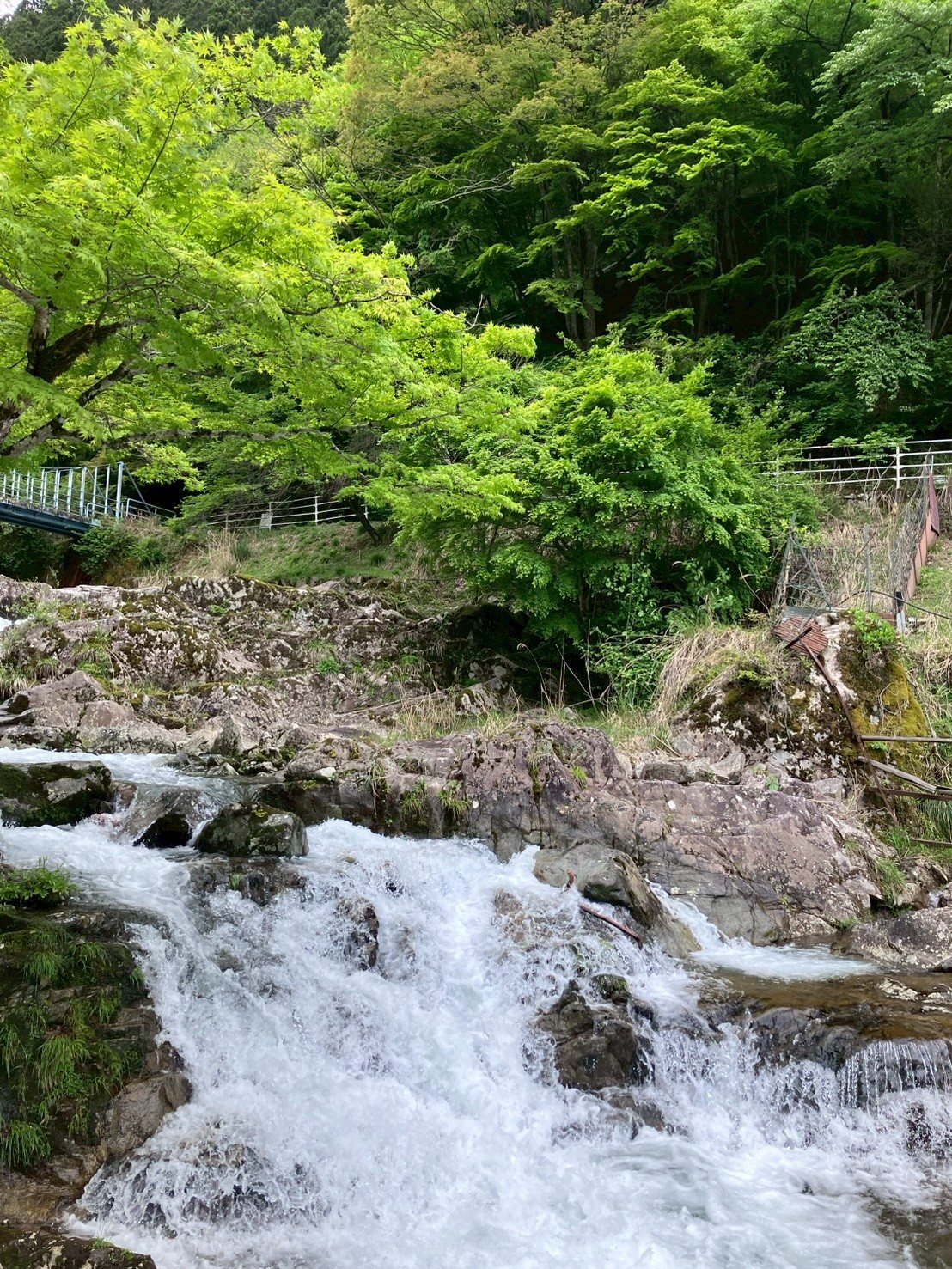 キャンプ場そばを流れる渓流
