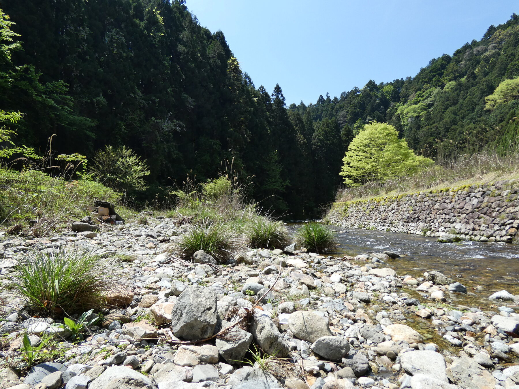 姫路市キャンプ場を流れる夢前川
