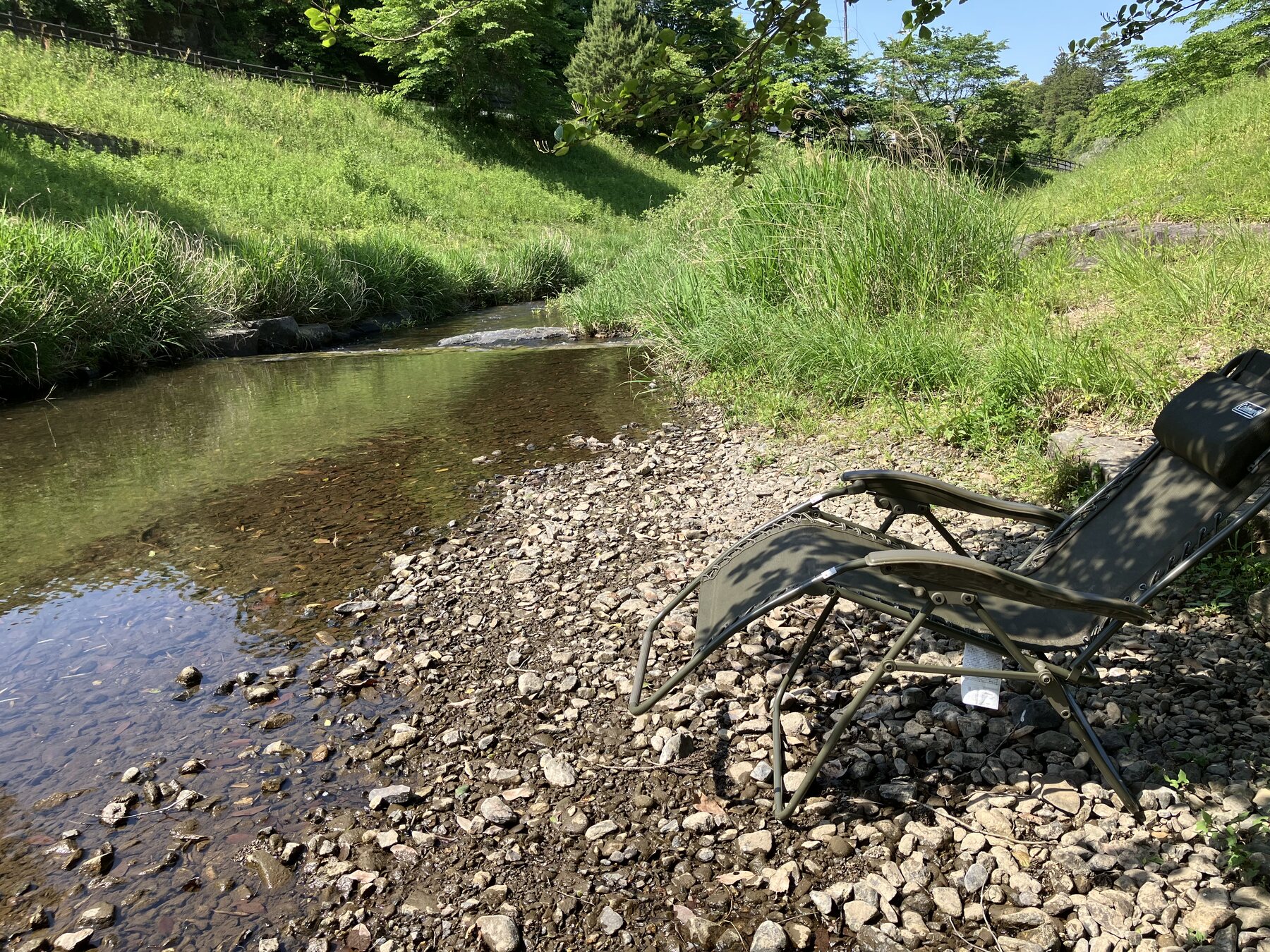 木々に囲まれた川の水風呂