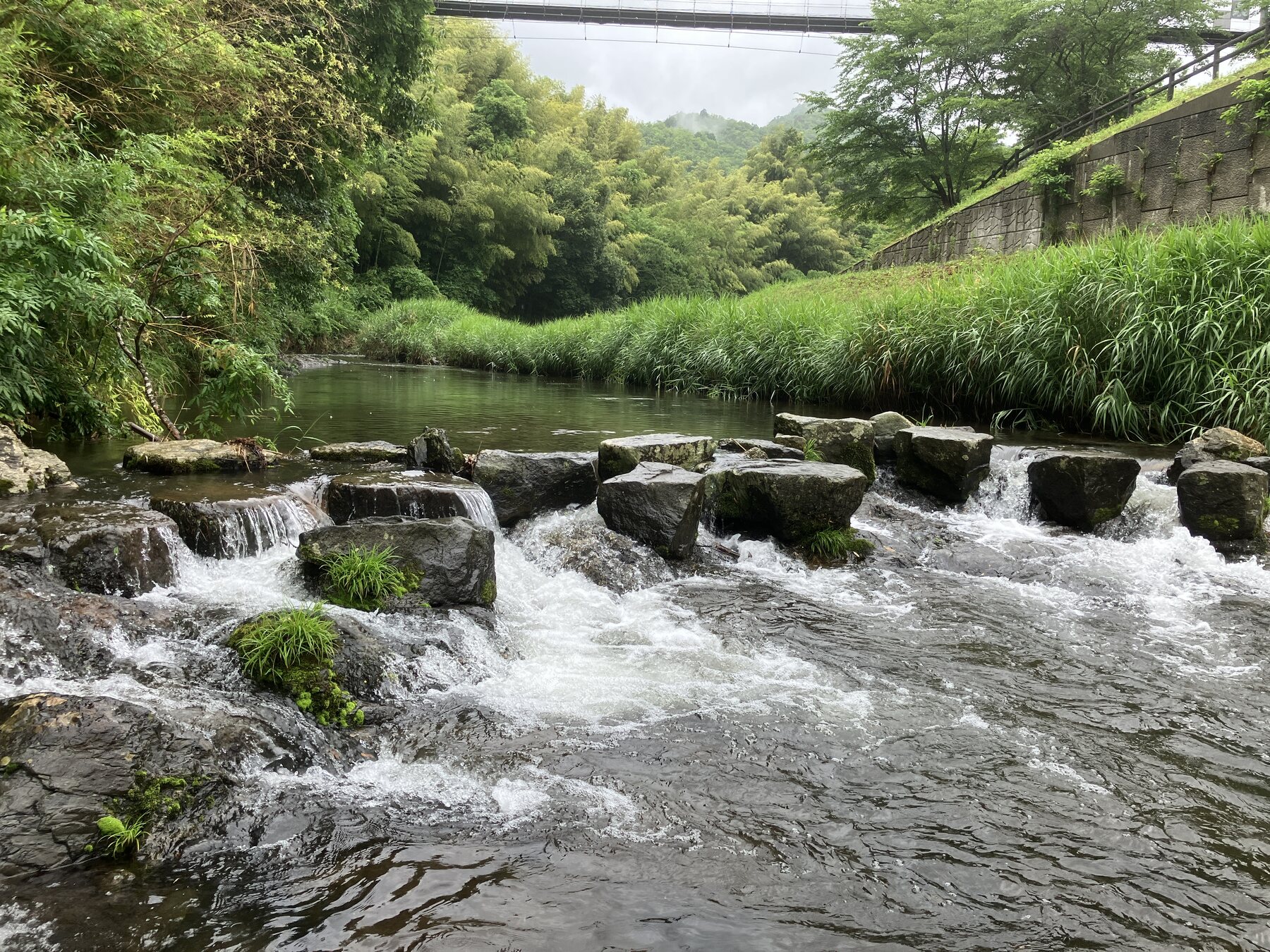 やまもりサーキットの森を流れる川